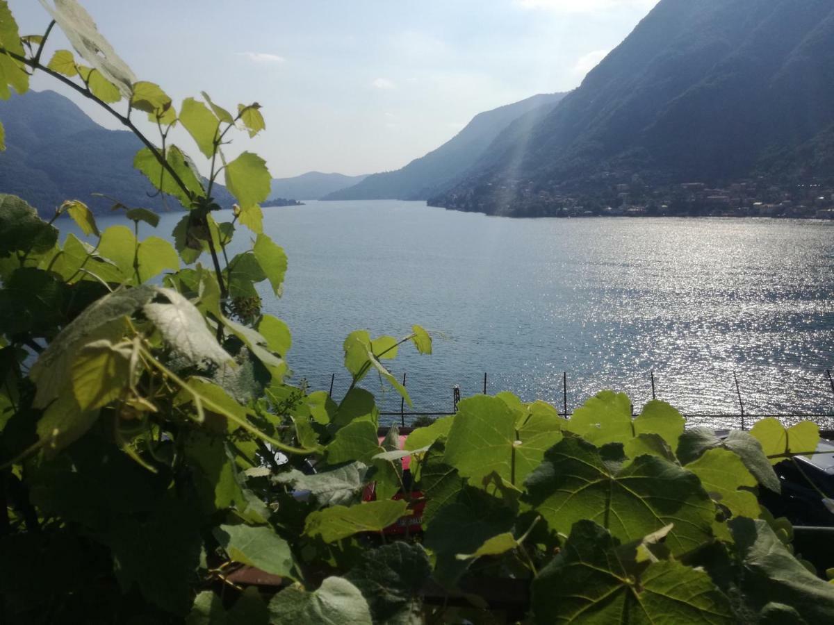 Panorama Apartment Pognana Lario Екстер'єр фото